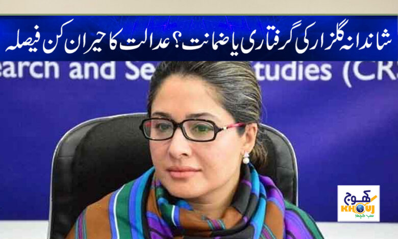 Shandana Gulzar Latest News in Urdu