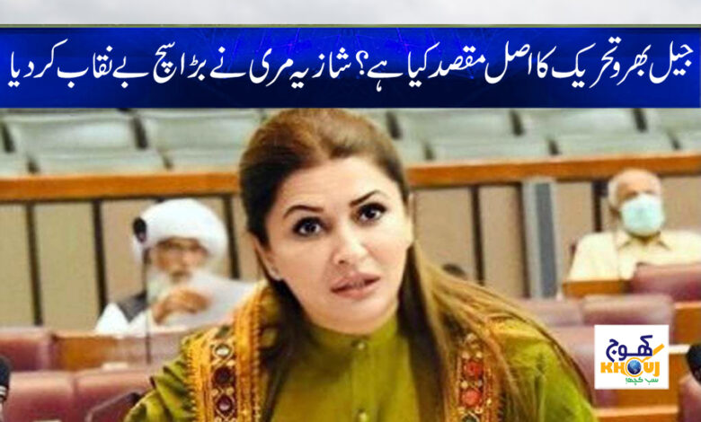 Shazia Murray Latest News in Urdu