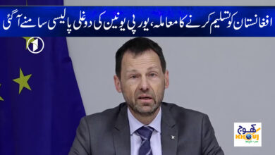 Thomas Nicholson News in Urdu