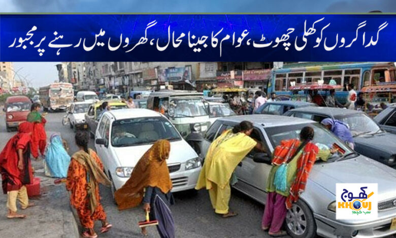 Donkeys are Free in Karachi News