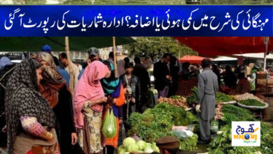 Inflation in Pakistan News