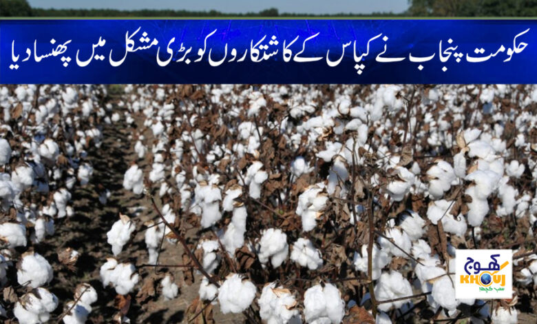 Punjab Govt News in Urdu