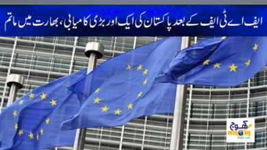 Pakistan Success News in Urdu