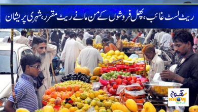 Today Fruits Rate News in Urdu