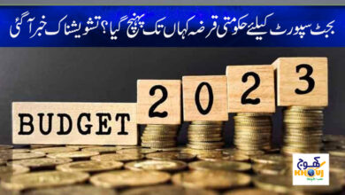 Budget Support News in Urdu