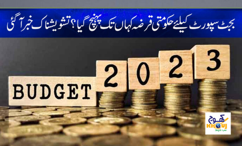 Budget Support News in Urdu