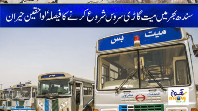 Sindh Services News in Urdu