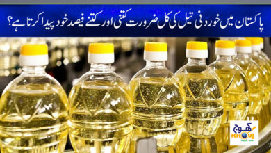 Edible Oil in Pakistan News in Urdu