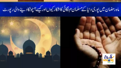 all world muslims news