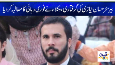 Hassan Niazi Arrest News in Urdu