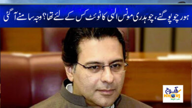 Chaudhry Munis Elahi News in Urdu