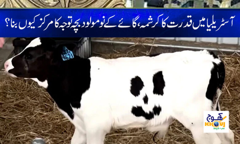 Australia Latest Weird News in Urdu