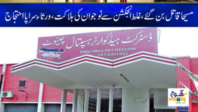 Shahbaz Sharif Action News in Urdu