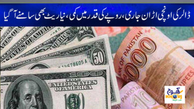 Today Dollar News in Urdu