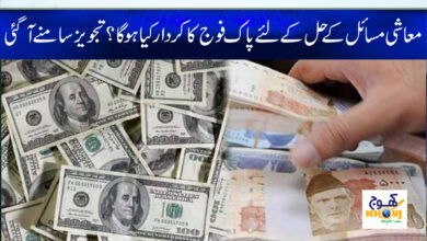 Economic Issues News in Urdu