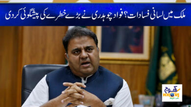 Fawad Chaudhry News in Urdu