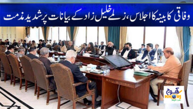 Zalmay Khalilzad Statements in Urdu