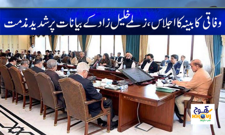 Zalmay Khalilzad Statements in Urdu