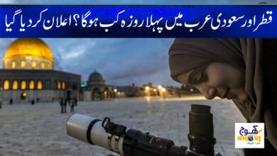Saudi Arabia First Fast News