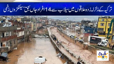 Turkey Earthquake News in Urdu