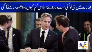 G20 Ministerial Meeting News in Urdu