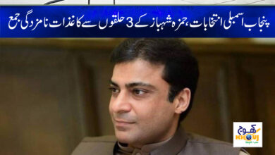 Punjab Assembly Elections News in Urdu