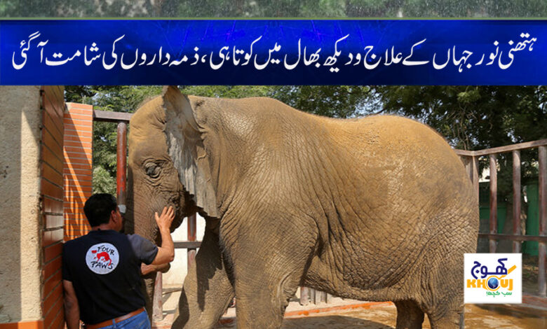 Hathni Noor Jahan News in Urdu