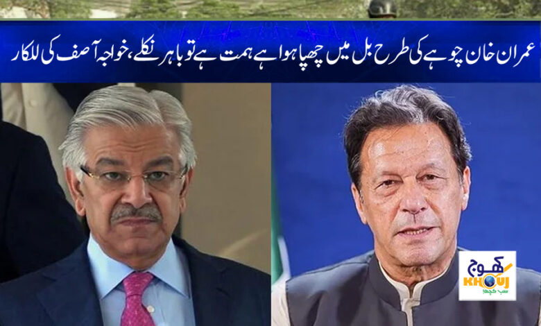 Imran Khan News in Urdu