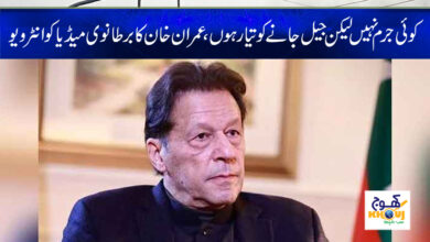 Imran Khan Interview with British Media