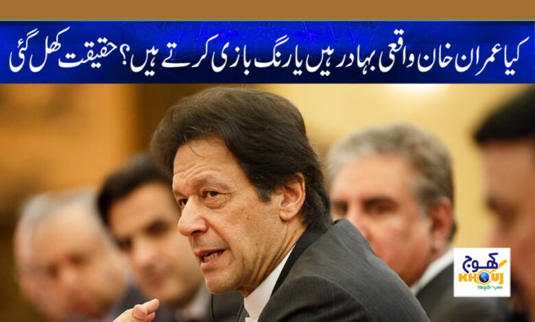 Imran Khan News in Urdu