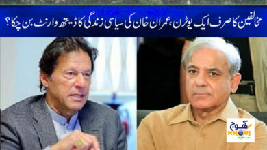 Imran Khan Latest News in Urdu