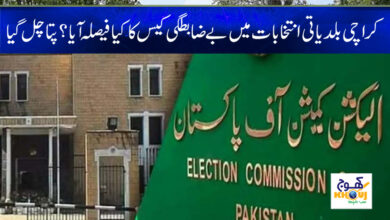 Municipal Elections News in Urdu