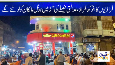 Unique Fraud Thief News in Urdu