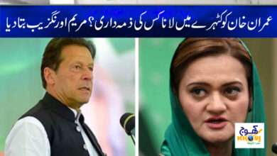 Maryam Aurangzeb News in Urdu