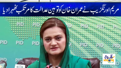 Maryam Aurangzeb News in Urdu