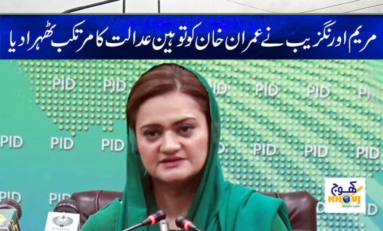 Maryam Aurangzeb News in Urdu