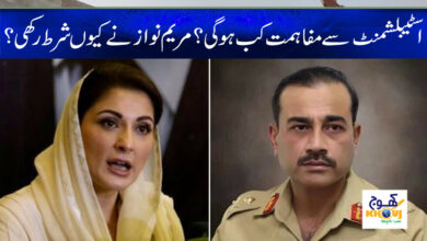 Maryam Nawaz News in Urdu