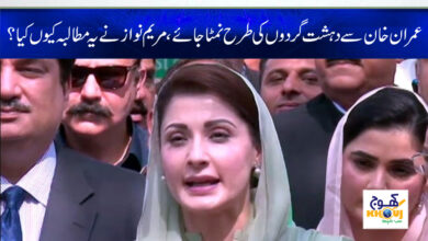 Maryam Nawaz News in Urdu