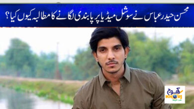 Mohsin Haider Abbas News in Urdu