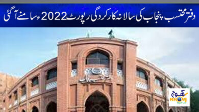 Punjab Ombudsman Report News in Urdu