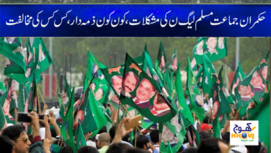 Muslim League N News in Urdu