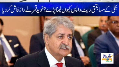 Naveed Qamar News in Urdu