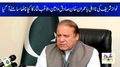 Saqib Nisar News
