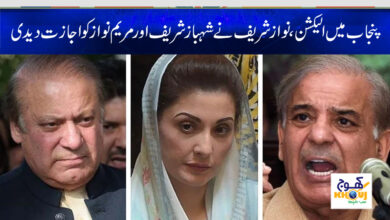 Election in Punjab News in Urdu