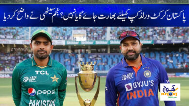 World Cup 2023 News in Urdu