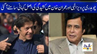 Imran Khan News in Urdu