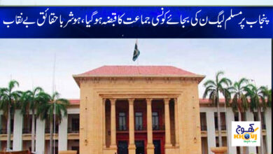 Muslim League N News in Urdu