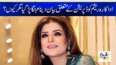 Actress Resham Statement News in Urdu
