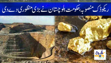 Rekodic Project News in Urdu