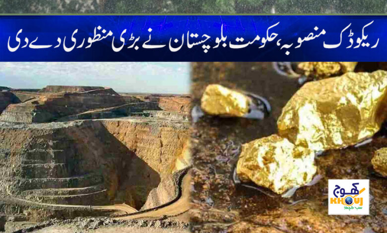 Rekodic Project News in Urdu